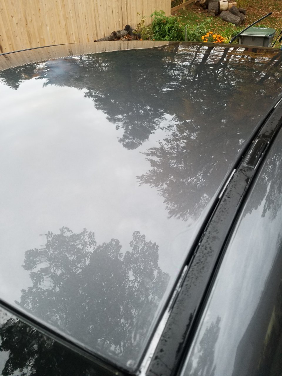 20191025_173615.jpg