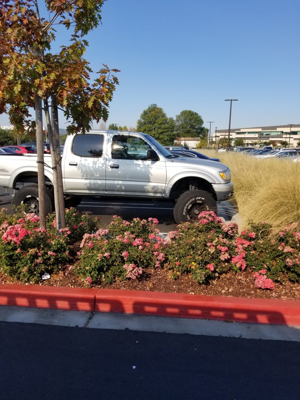 20191026_104847.jpg