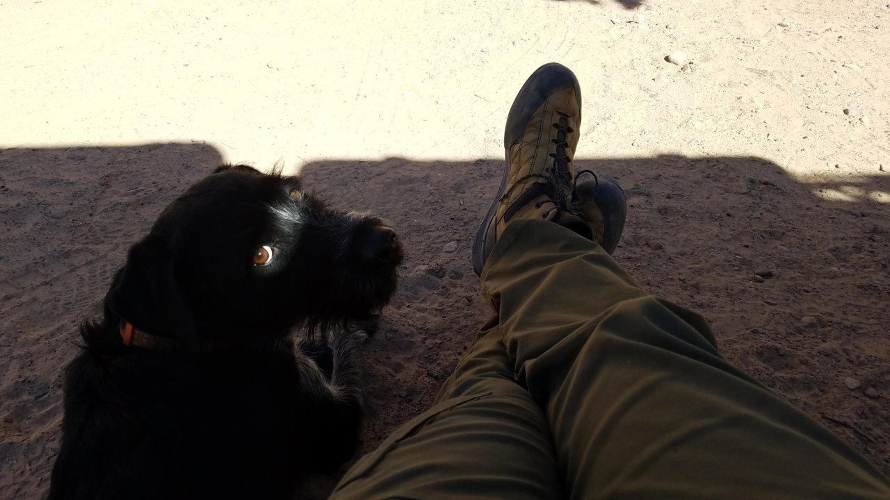 20191026_143242.jpg