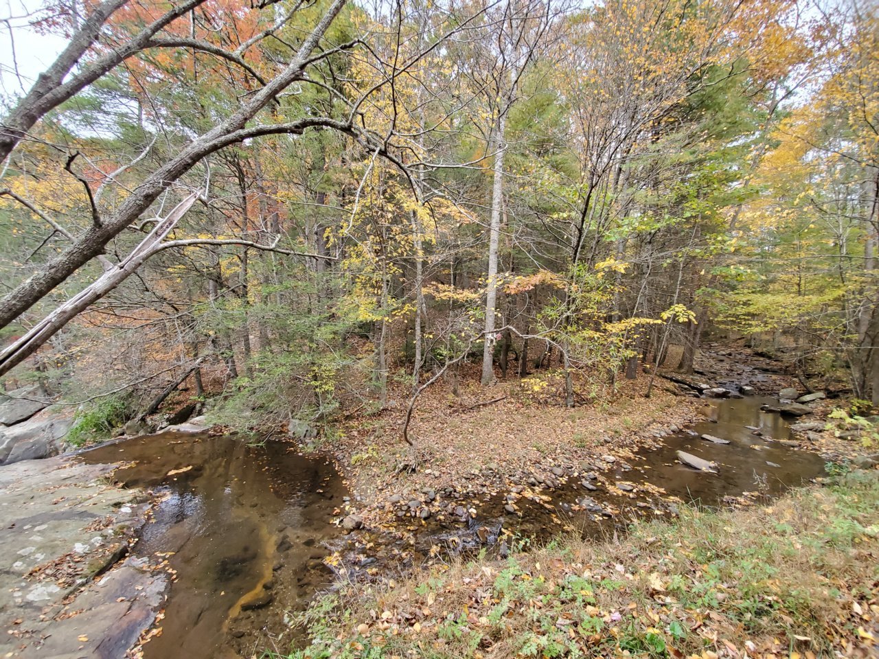 20191026_164113.jpg