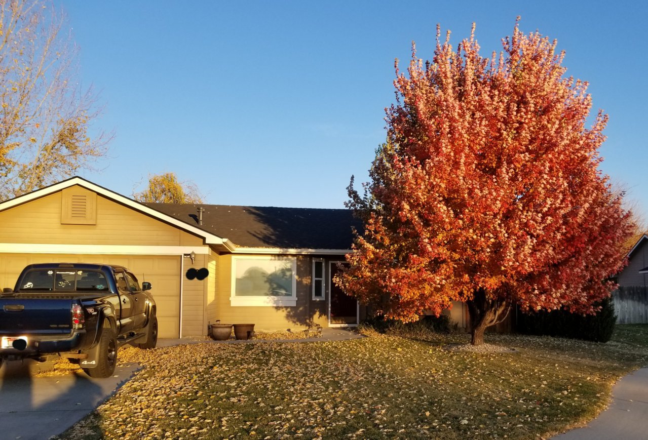 20191027_203628.jpg
