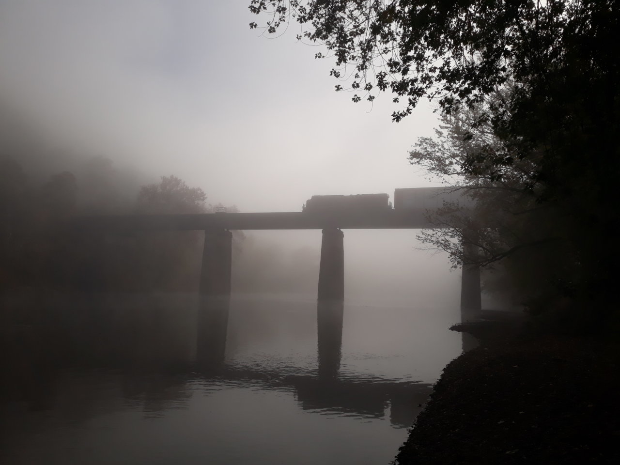 20191028_095312.jpg