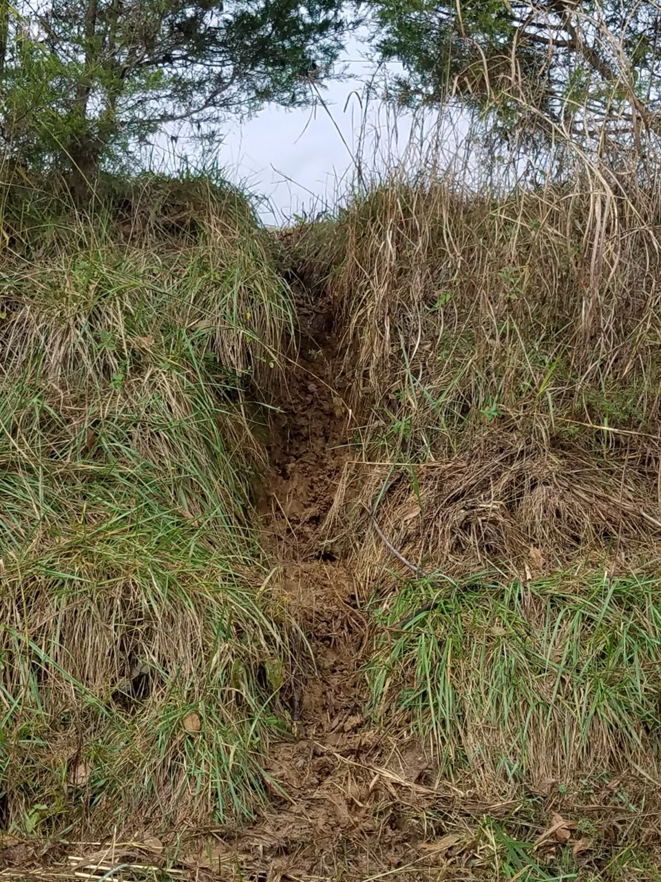 20191028_101157.jpg