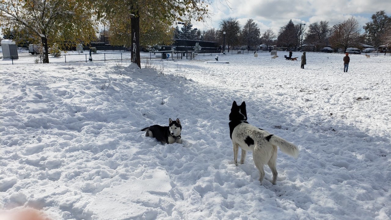 20191028_123539.jpg