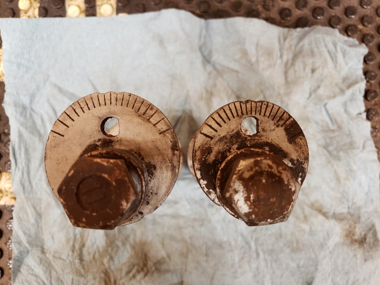 20191028_173707.jpg