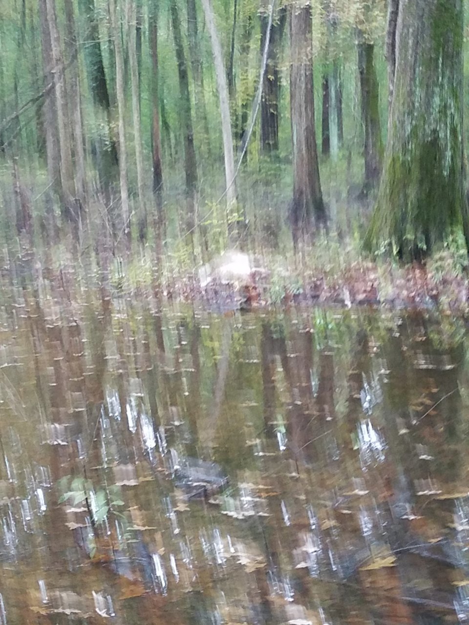 20191029_082817.jpg