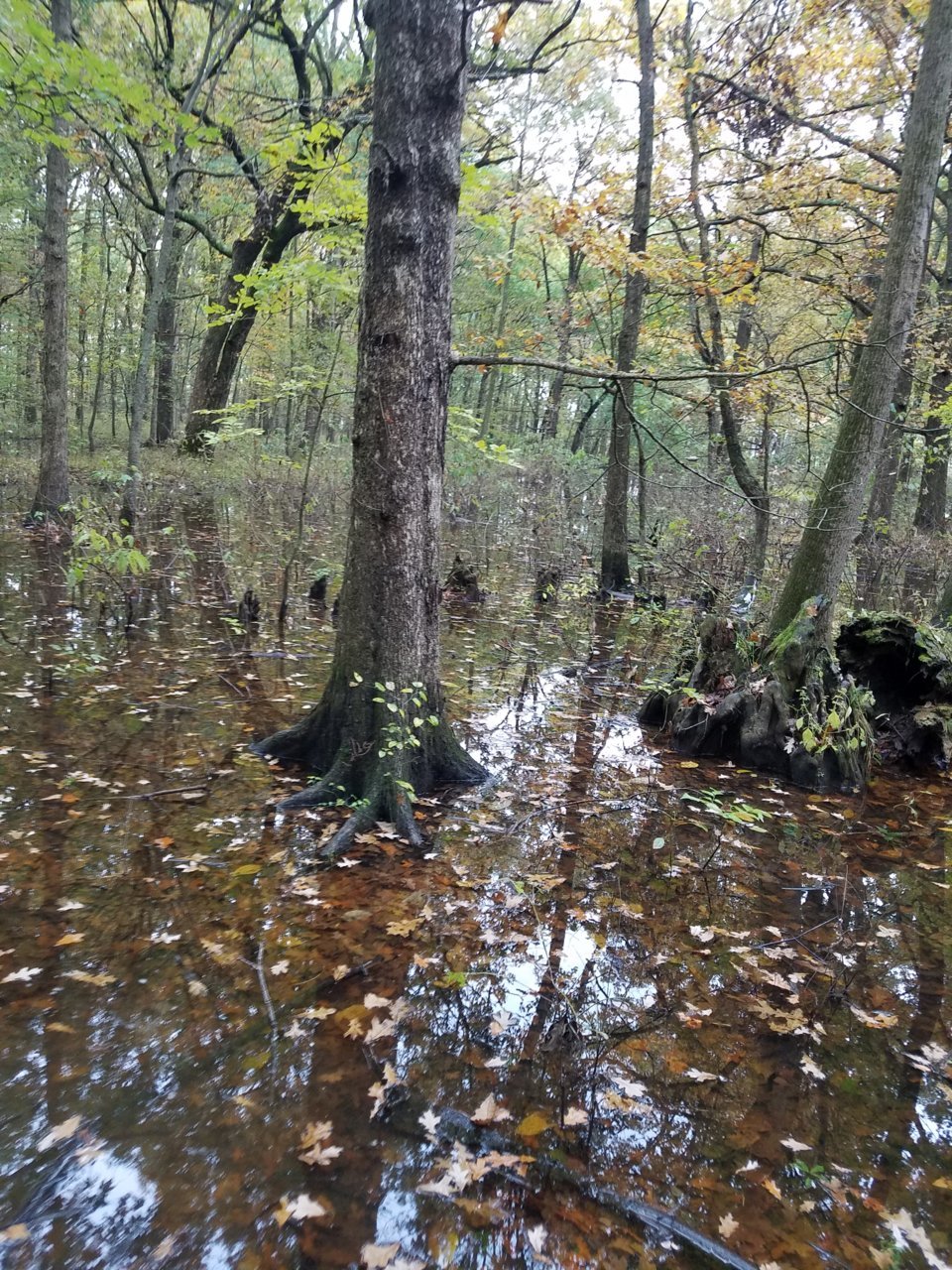 20191029_083109.jpg