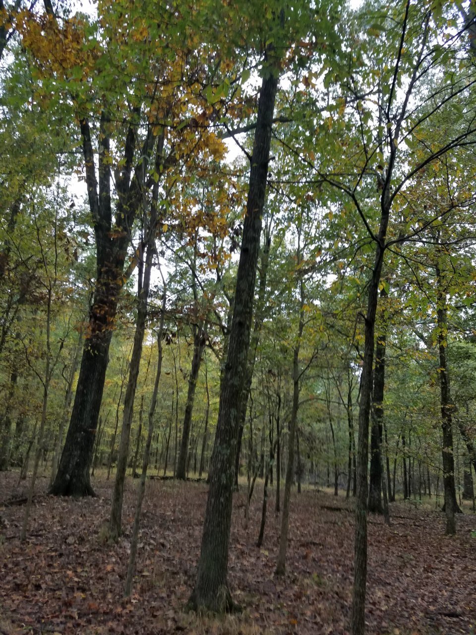 20191029_090534.jpg