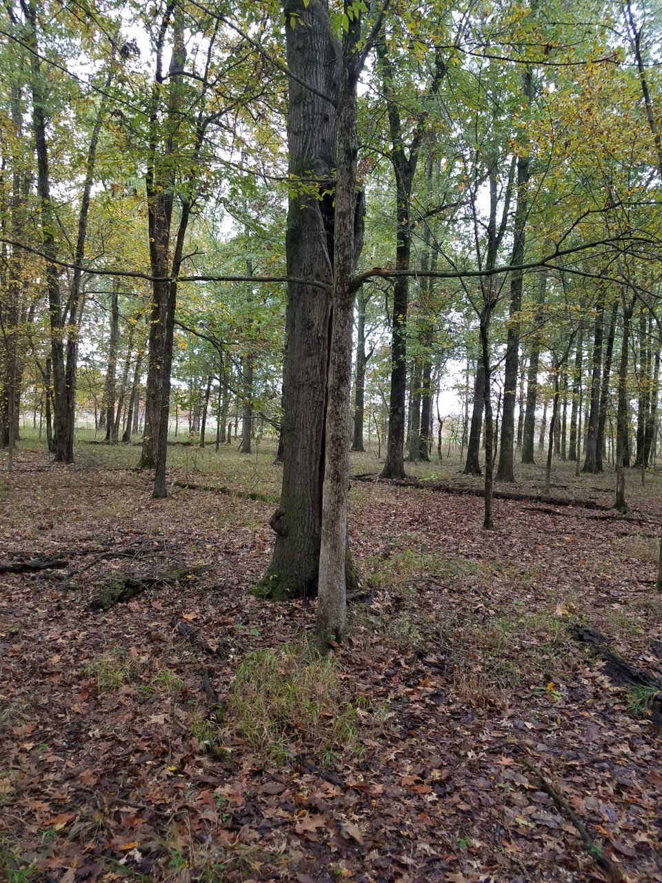 20191029_090549.jpg