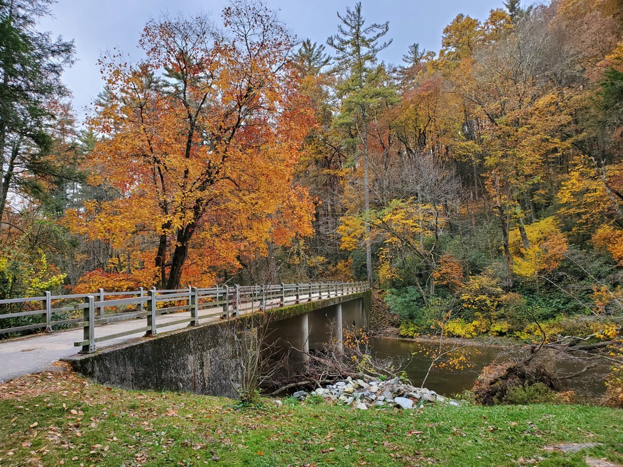 20191029_092344.jpg