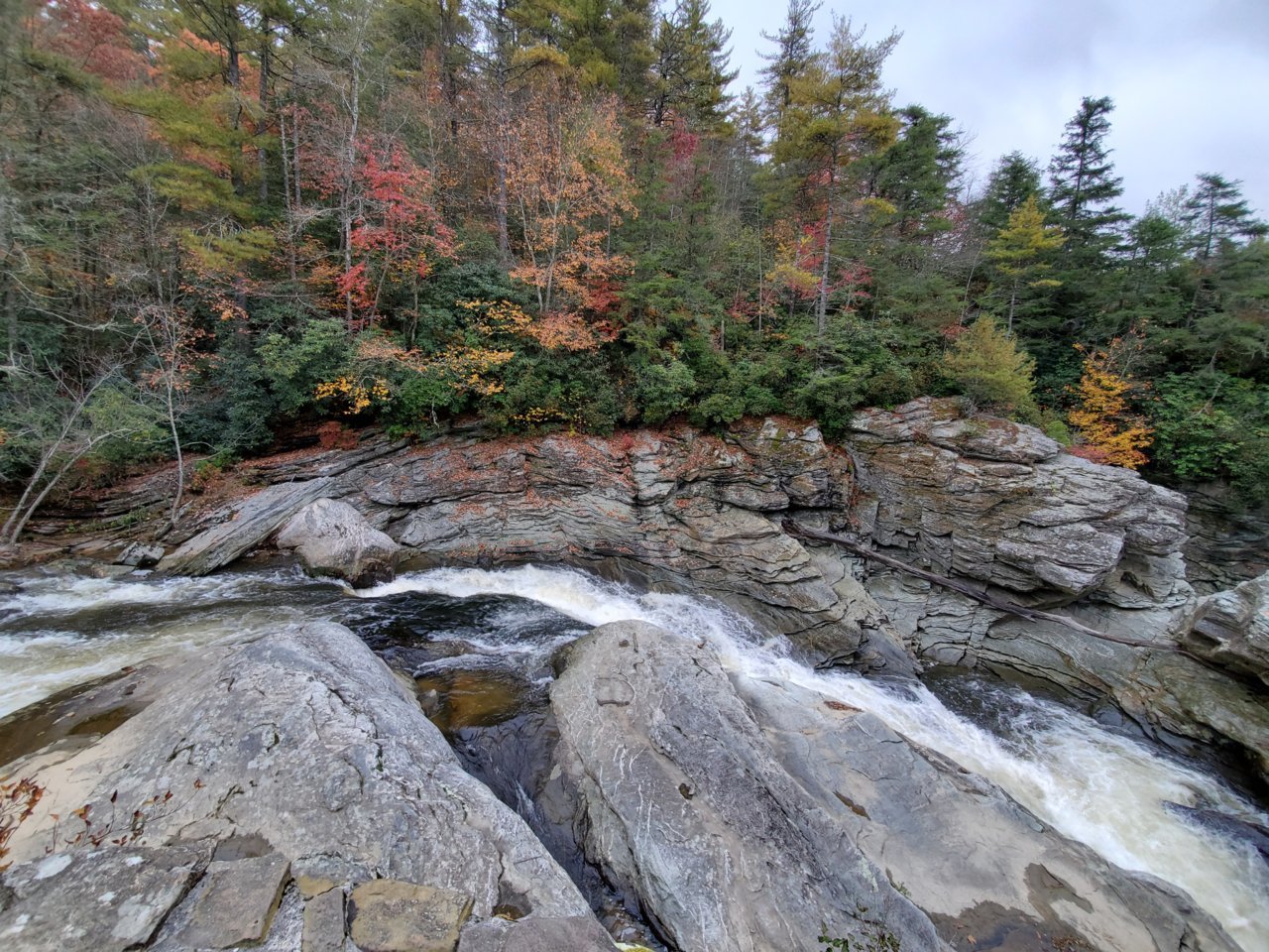20191029_093938.jpg