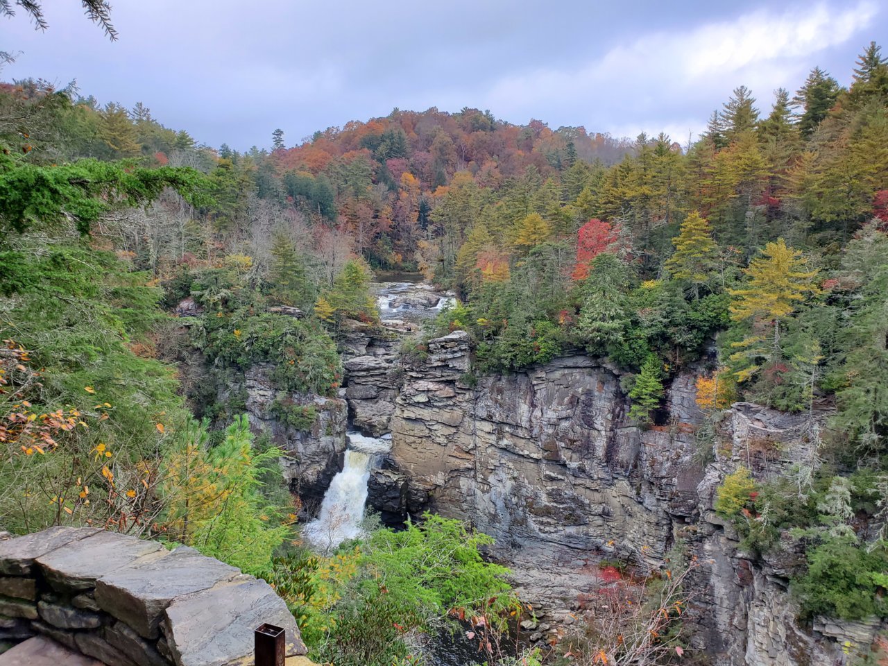 20191029_095528.jpg