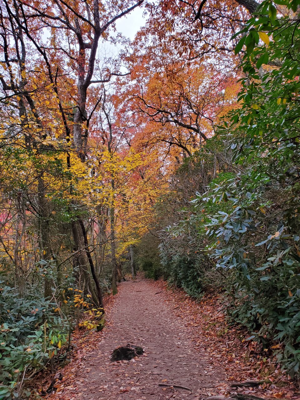 20191029_100027.jpg