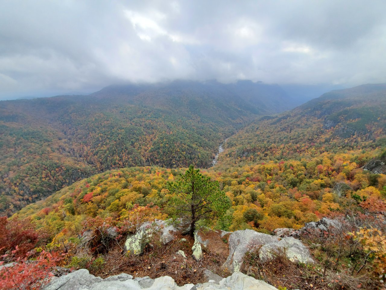20191029_111735.jpg