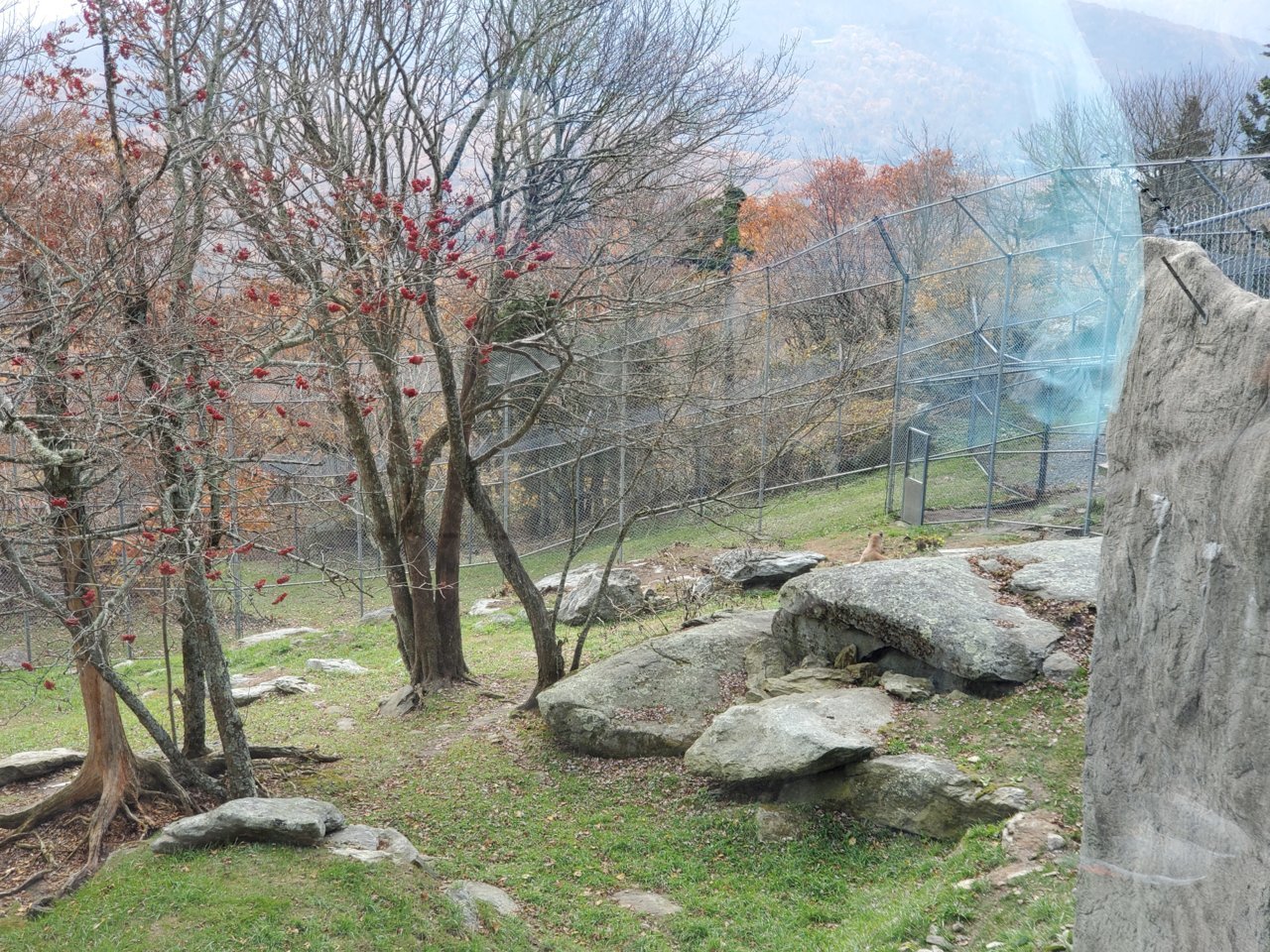 20191029_131223.jpg