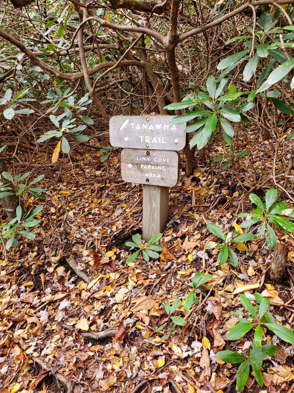 20191029_140753.jpg