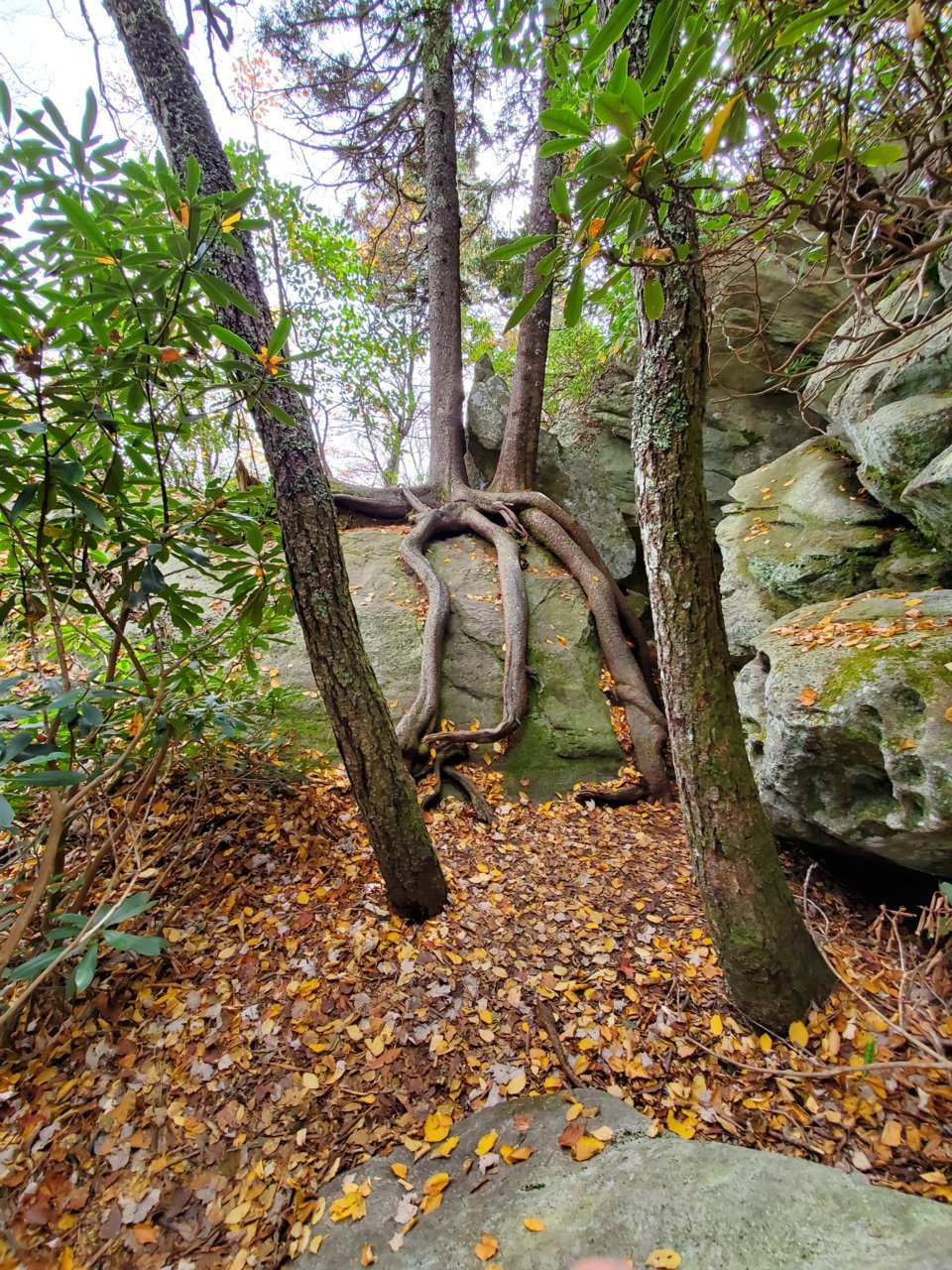 20191029_142027.jpg