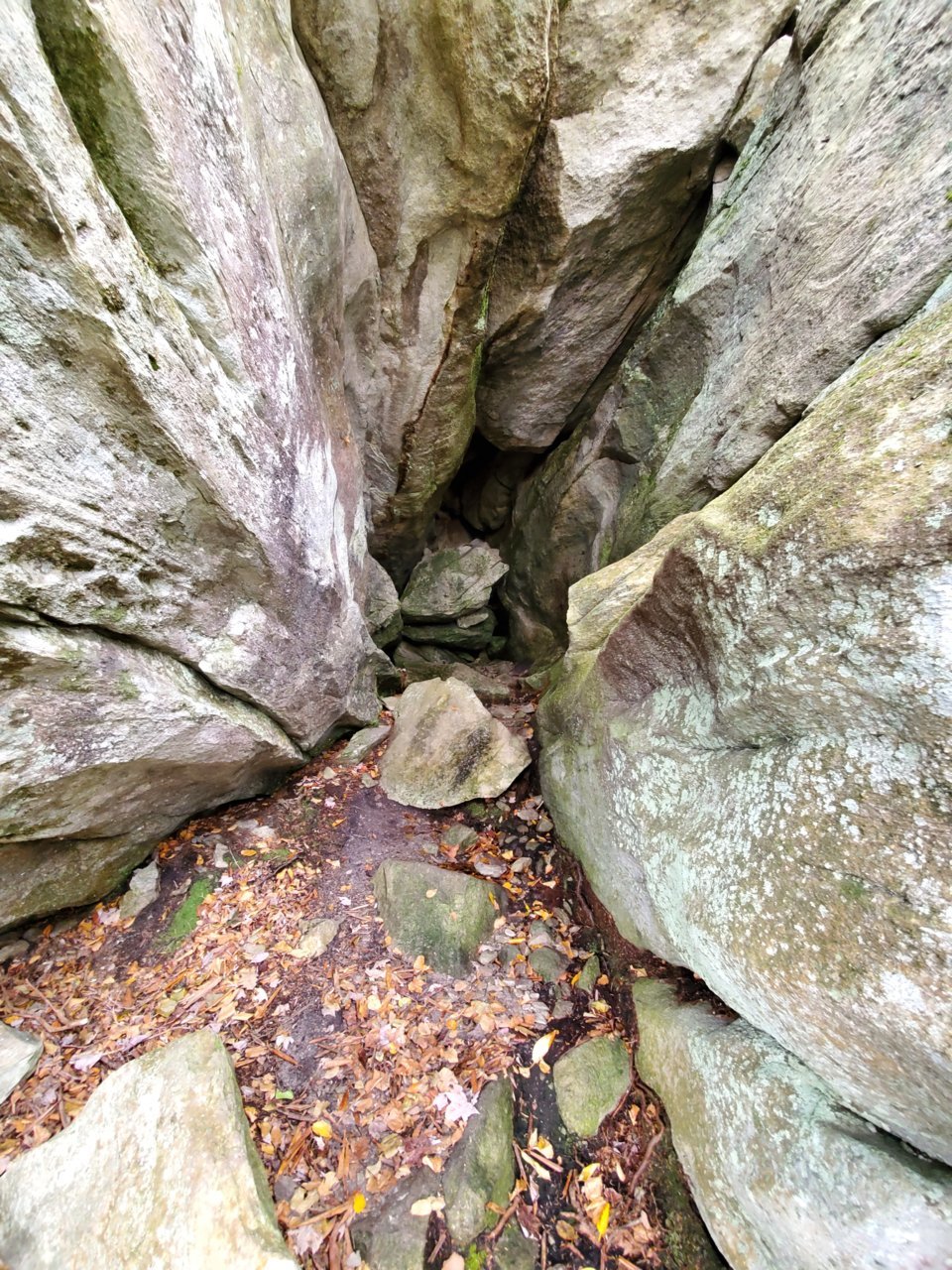 20191029_142117.jpg