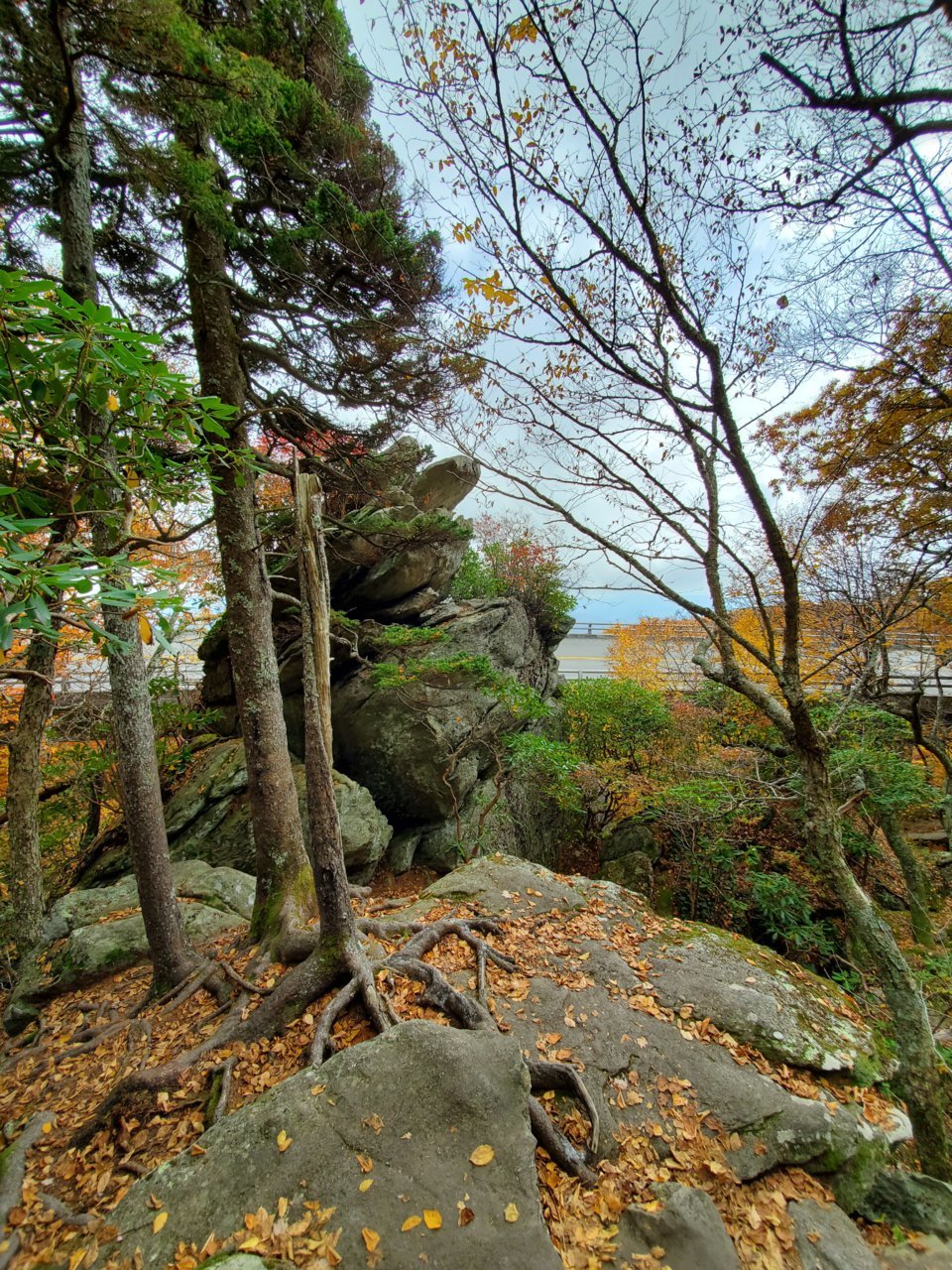 20191029_142310.jpg