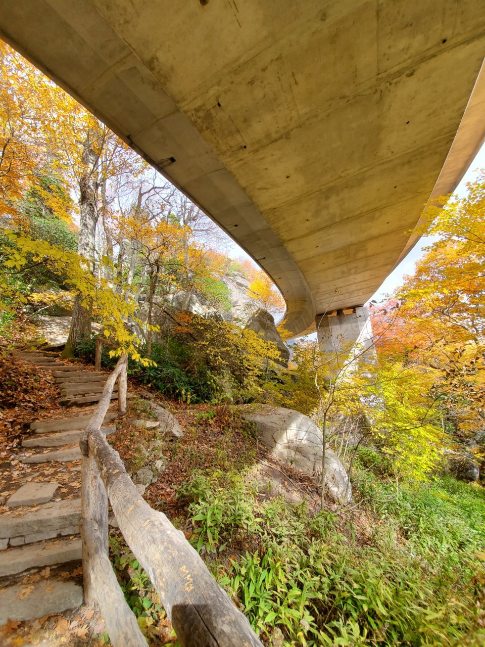 20191029_142617.jpg