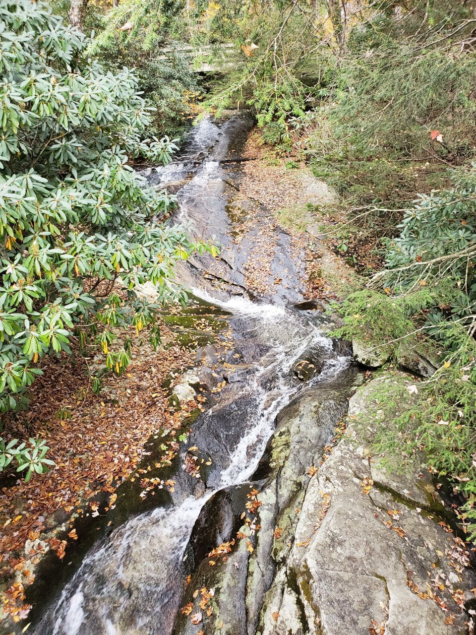 20191029_144717.jpg