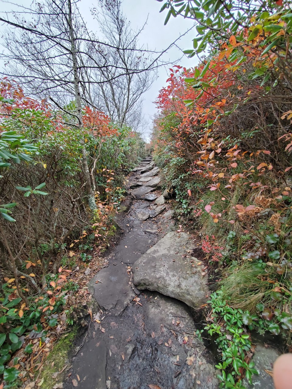 20191029_145536.jpg