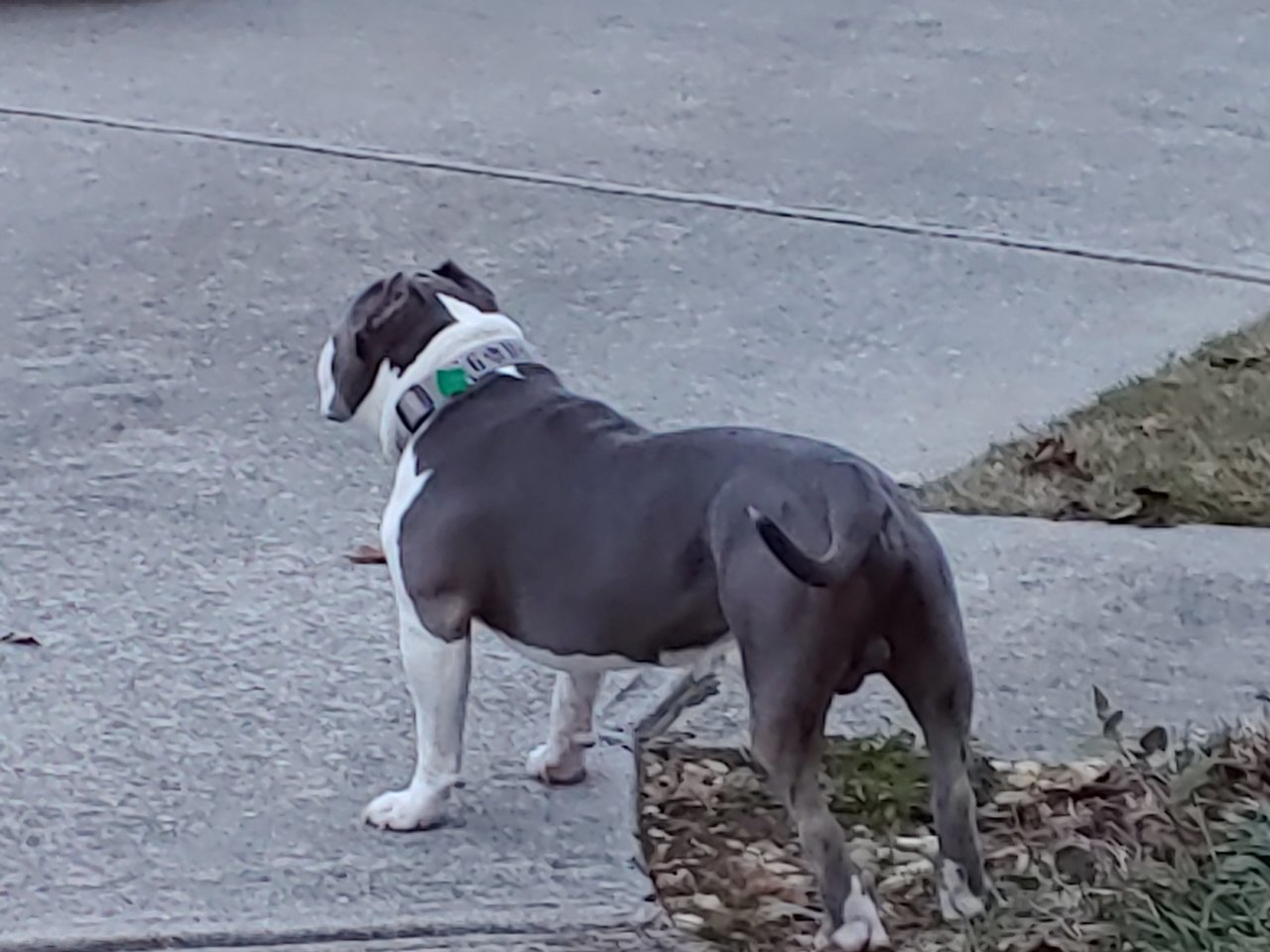 20191029_184520.jpg