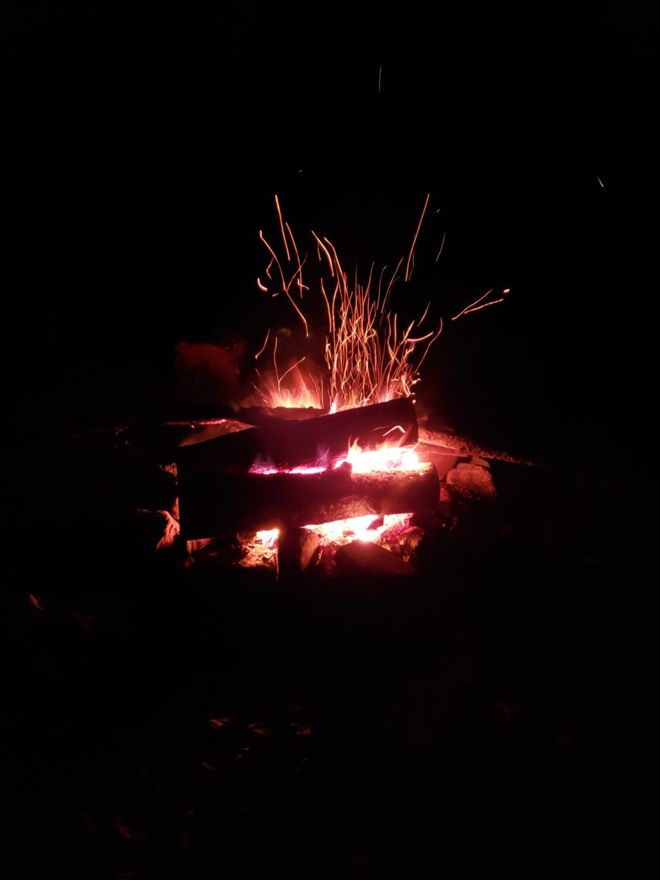 20191029_194613.jpg