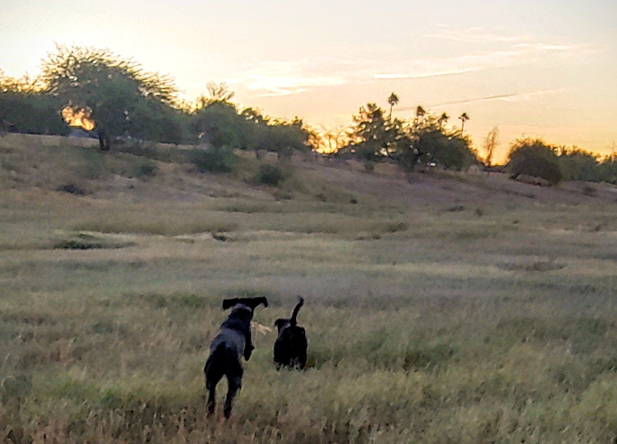 20191030_065057_HDR.jpg