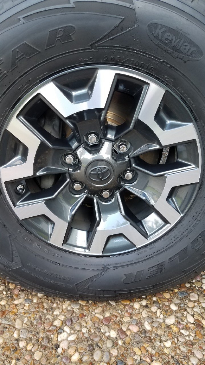 20191030_110256 - Edited.jpg