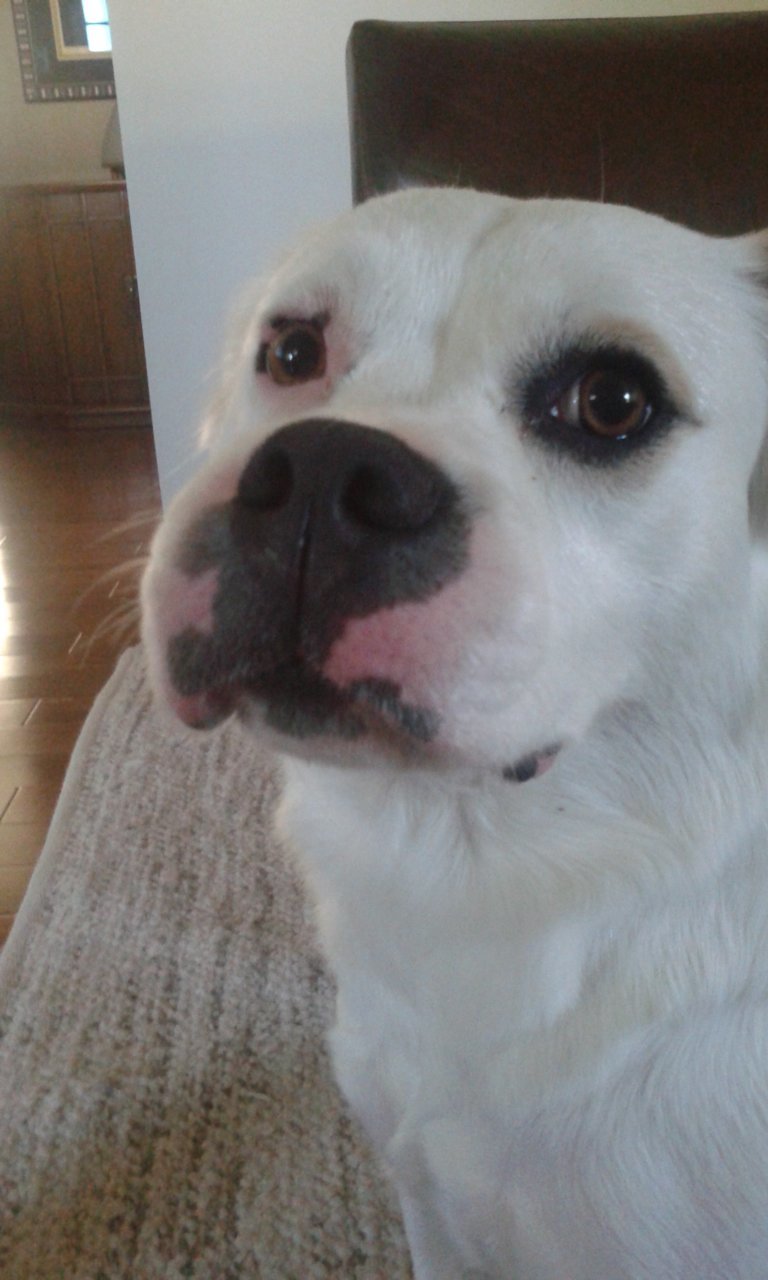 20191030_143244.jpg