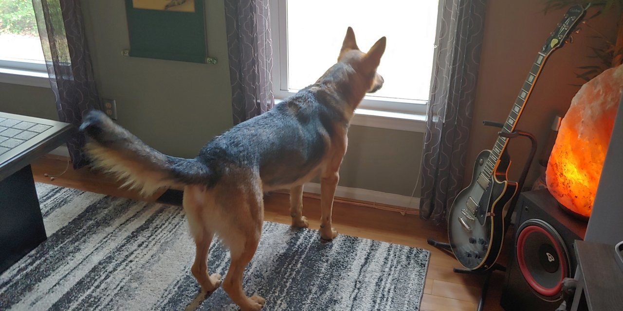 20191031_134533_HDR.jpg