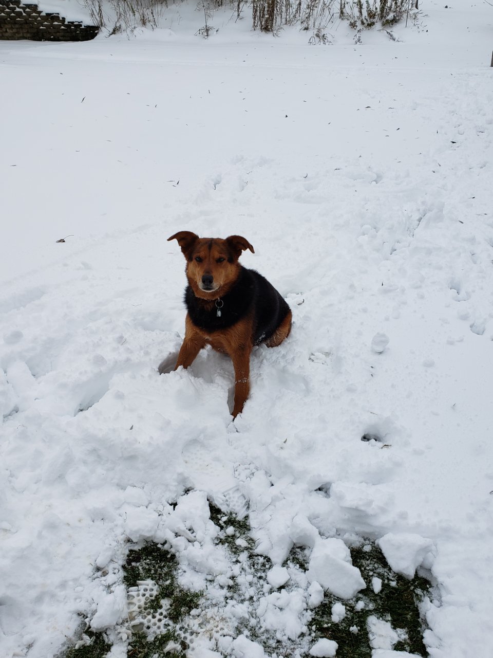 20191031_150606.jpg