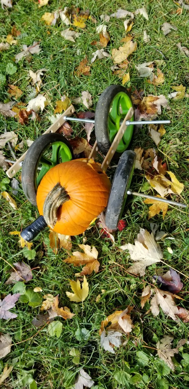 20191101_141105.jpg