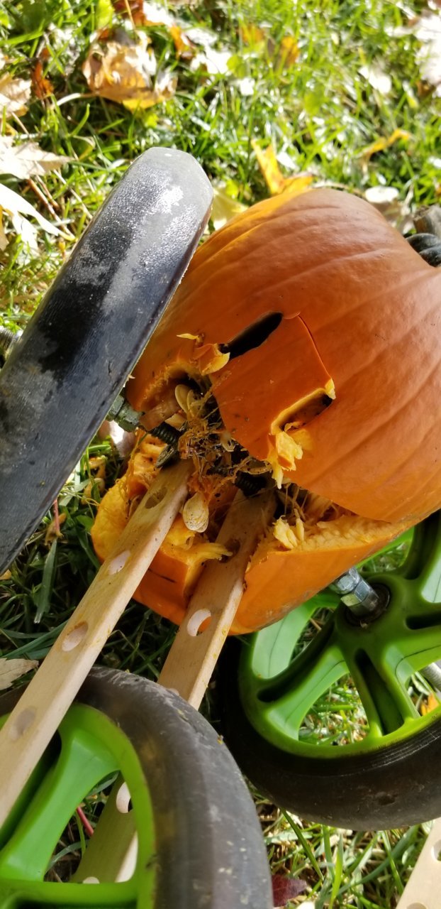 20191101_141114.jpg