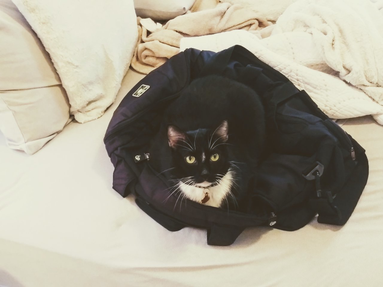 20191102_121558~2.jpg