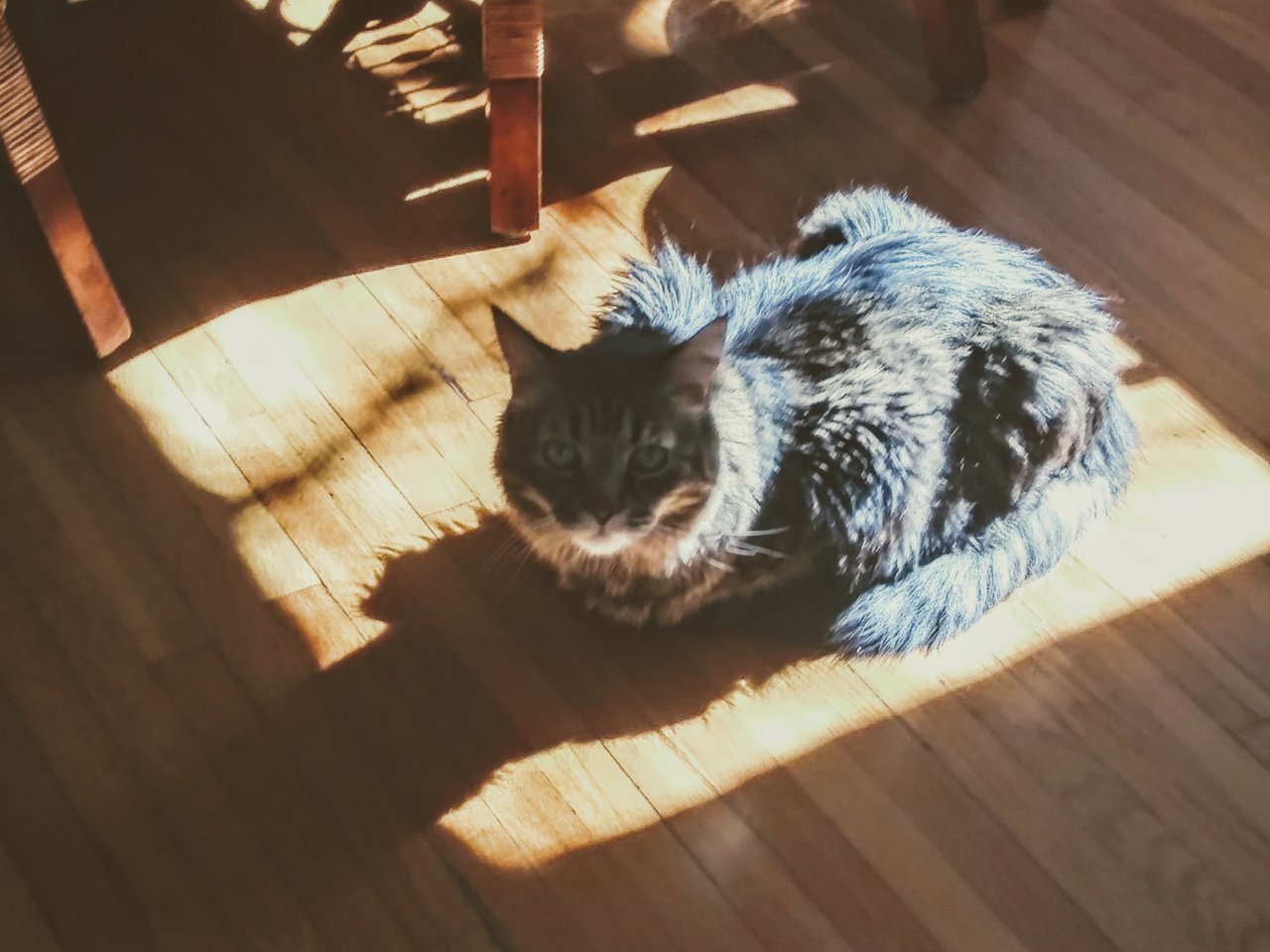 20191102_122246_HDR~2.jpg