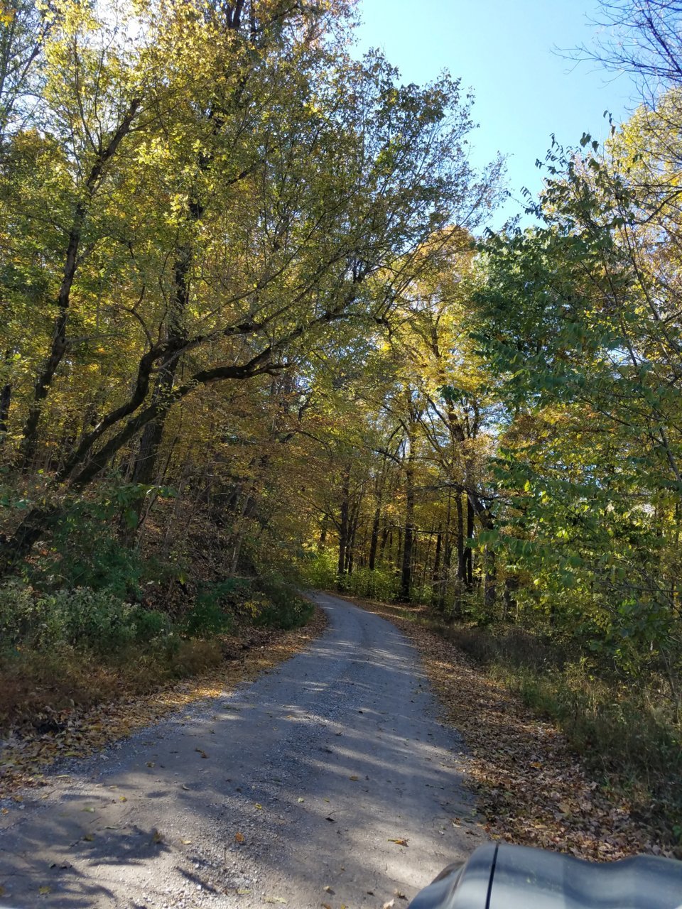 20191102_140910.jpg