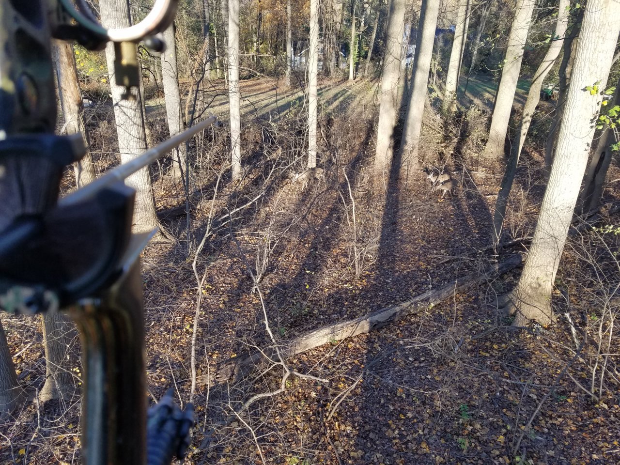20191102_163758.jpg