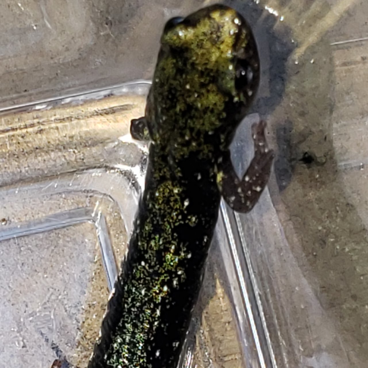 20191102_171518.jpg