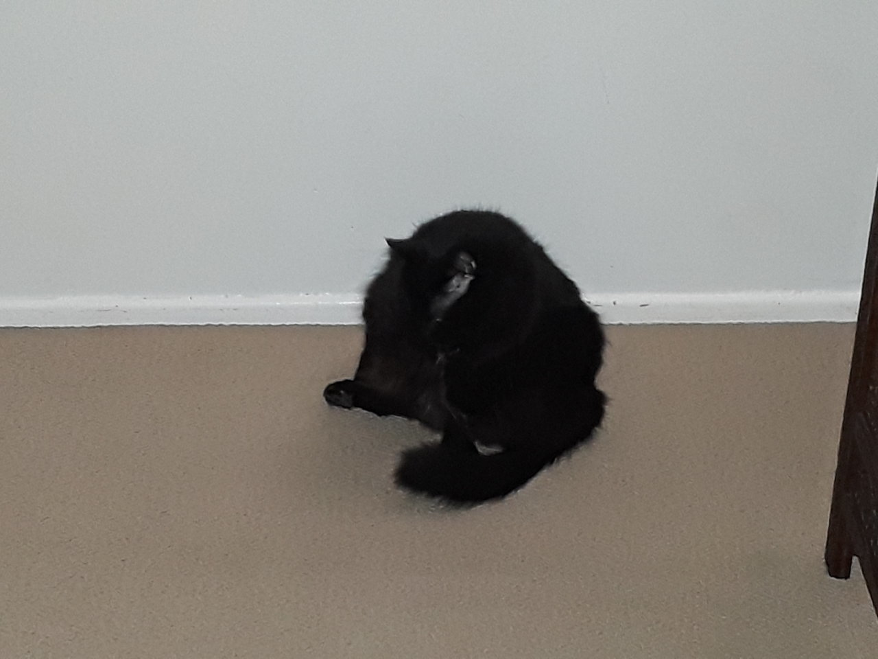 20191102_180801.jpg