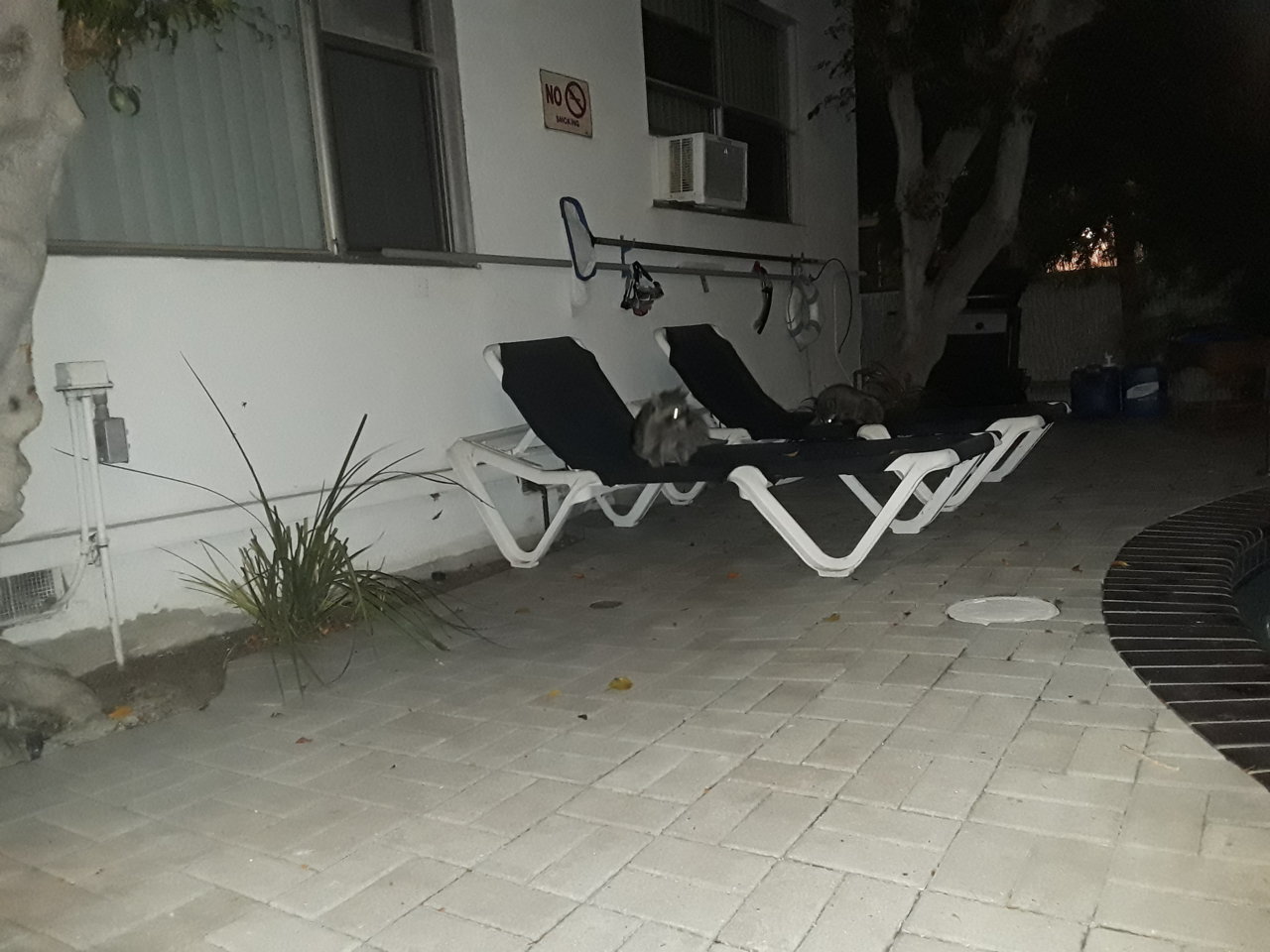 20191103_005427.jpg
