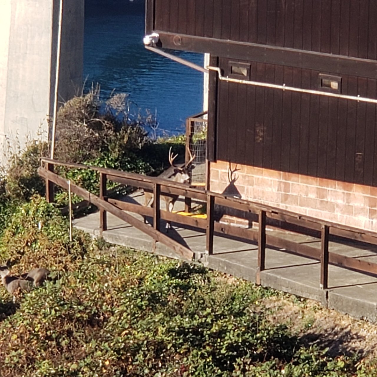 20191103_084501.jpg