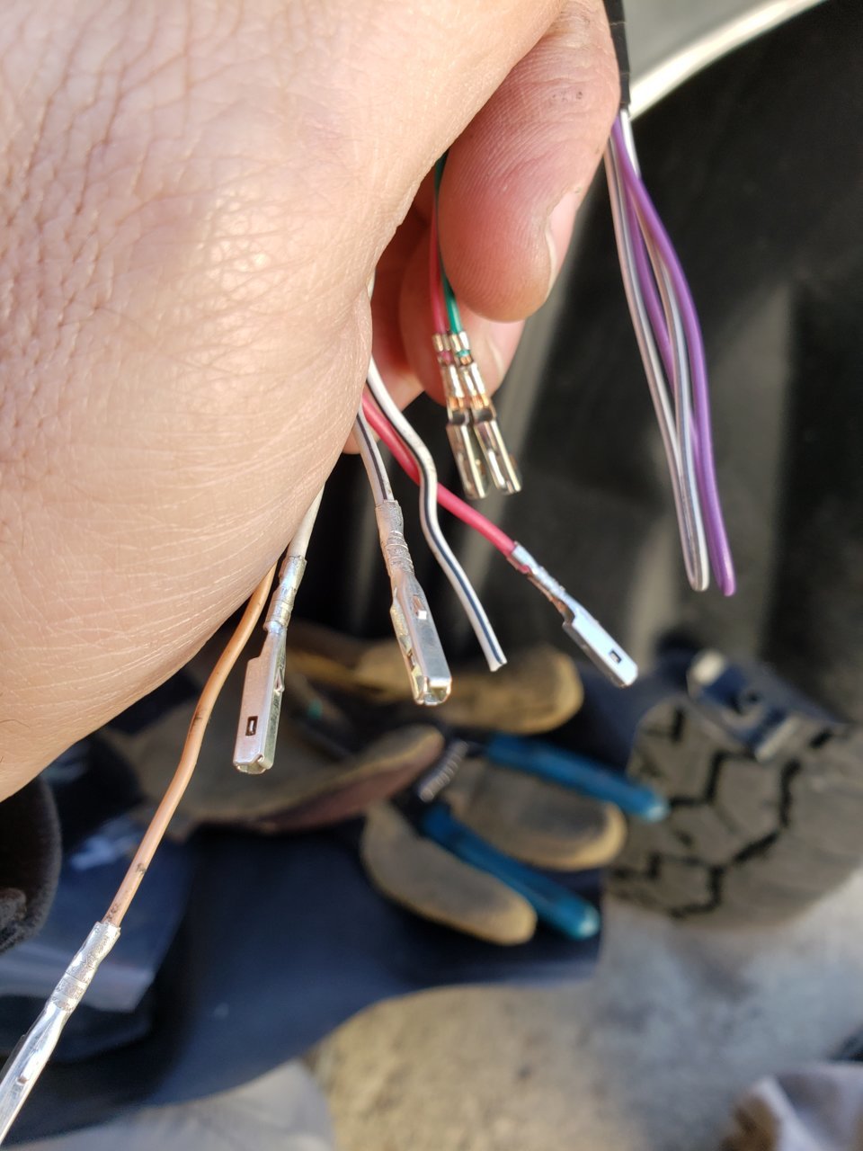 20191103_125747.jpg