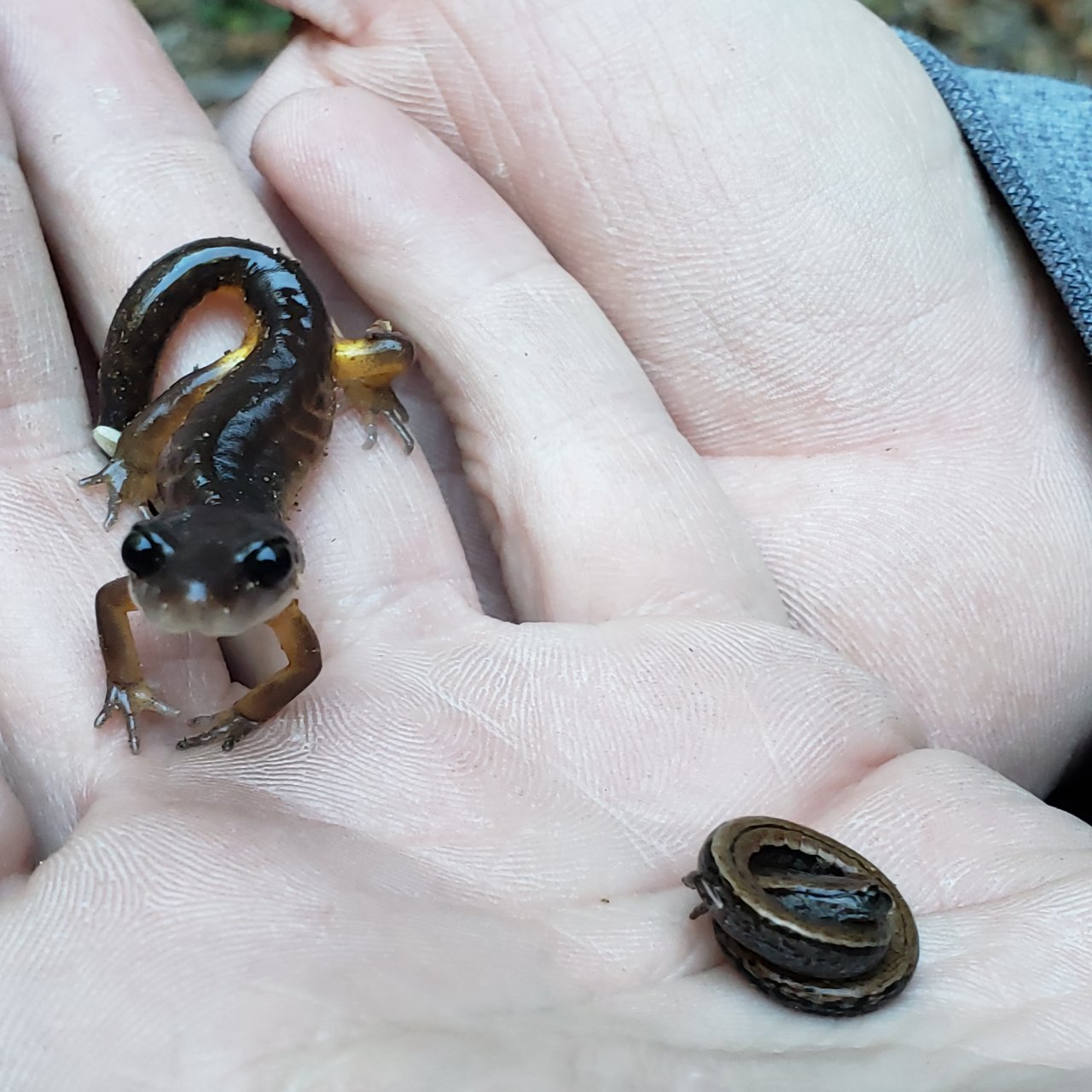 20191103_130247.jpg