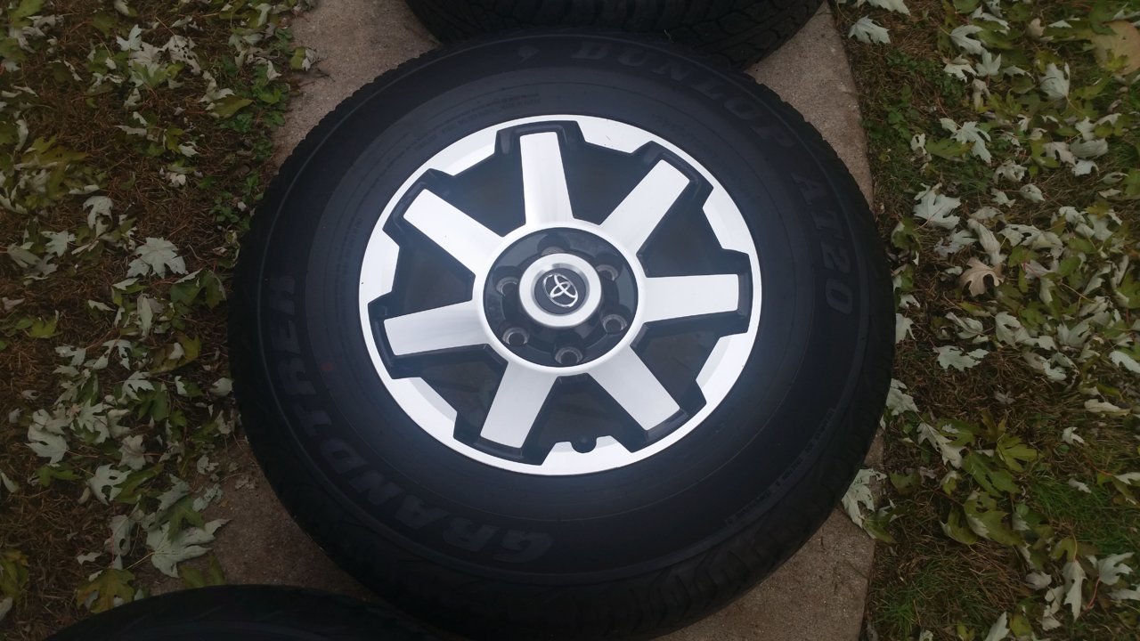 20191103_152419.jpg