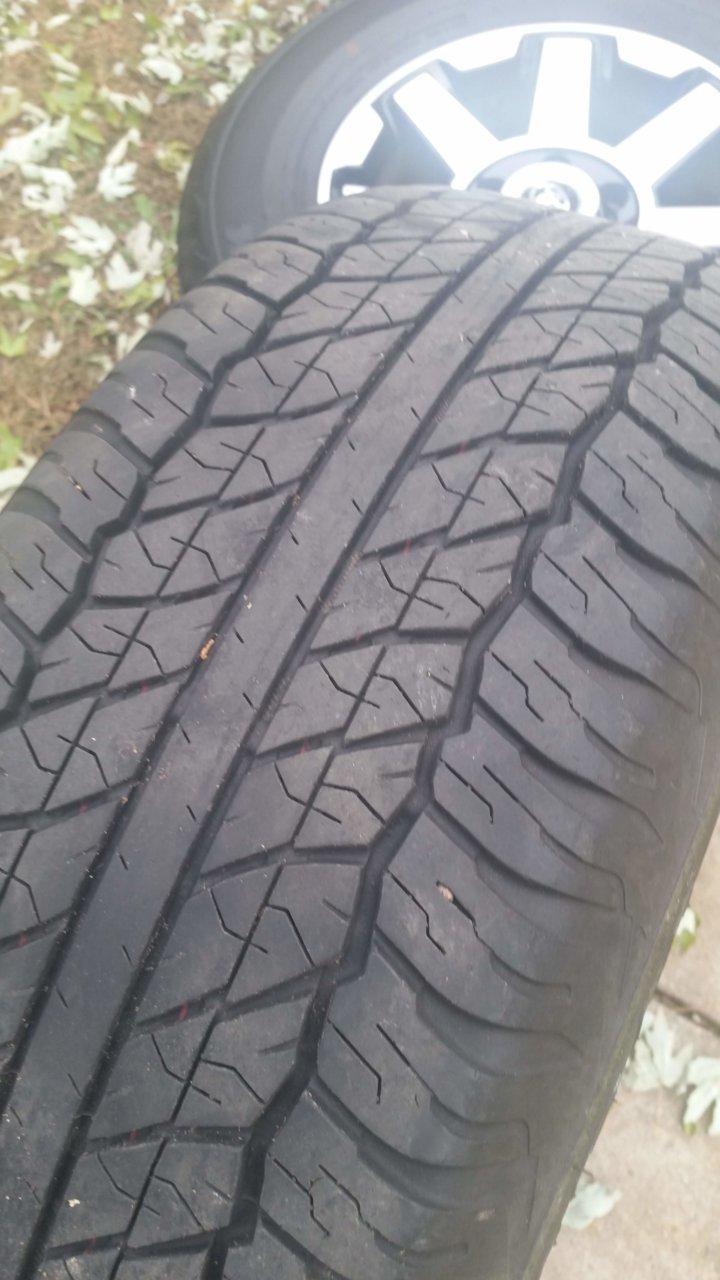 20191103_152435.jpg