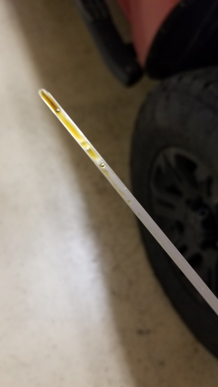 20191104_070638.jpg