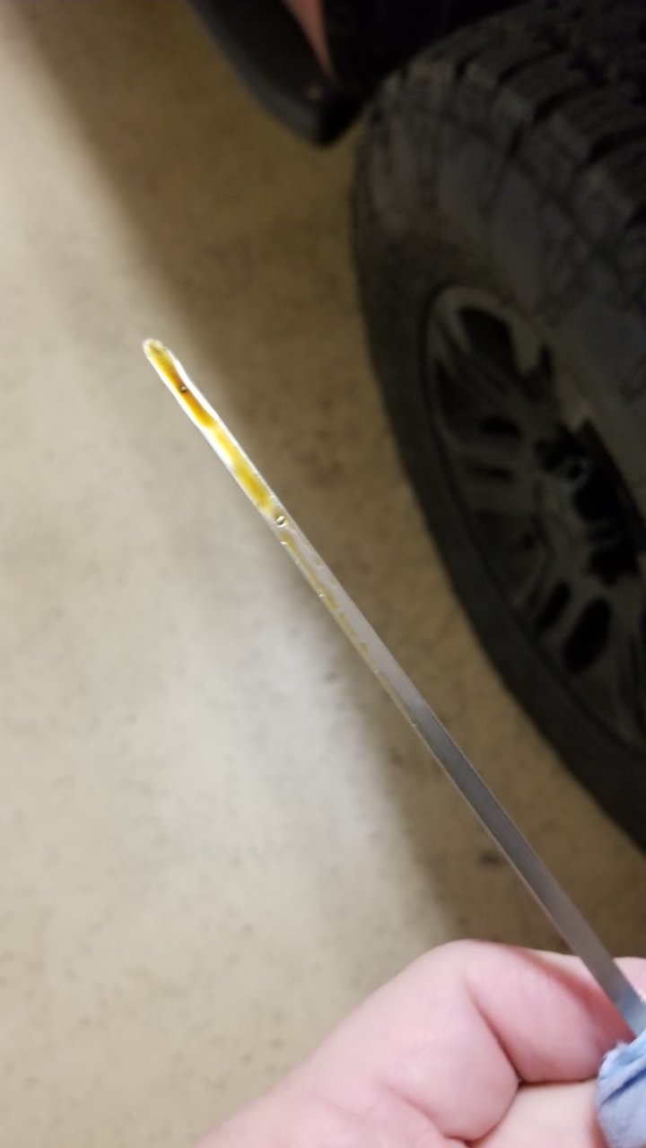 20191104_070717.jpg