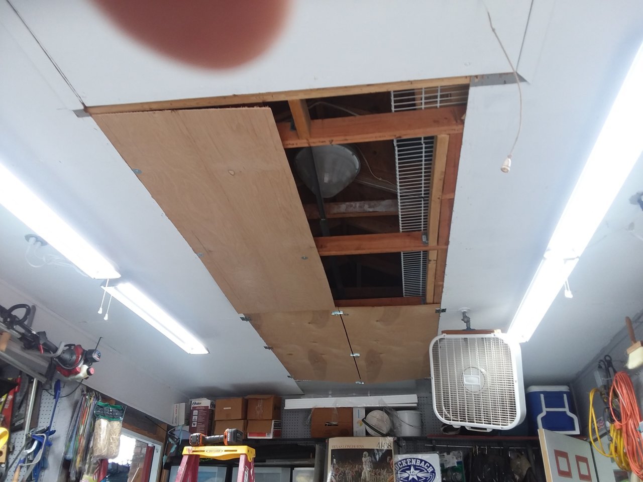 20191106_142644.jpg